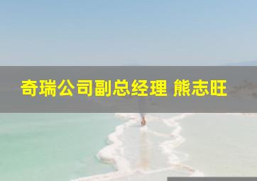 奇瑞公司副总经理 熊志旺